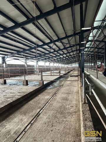 25-GSN GAYRİMENKUL'DEN AVRUPA STANDARTLARINDA RUHSATLI BESİÇİFTLİĞİ